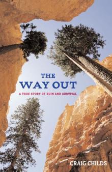 The Way Out Read online