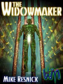 The Widowmaker: Volume 1 in the Widowmaker Trilogy Read online