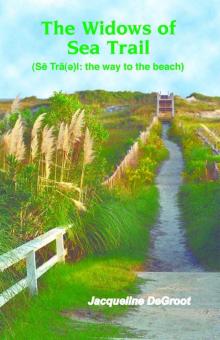 The Widows of Sea Trail (The Widows of Sea Trail Trilogy) Read online