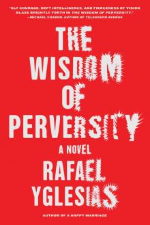 The Wisdom of Perversity Read online