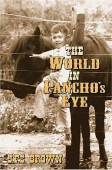 The World in Pancho's Eye - J P S Brown Read online