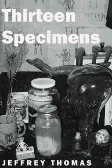 Thirteen Specimens Read online