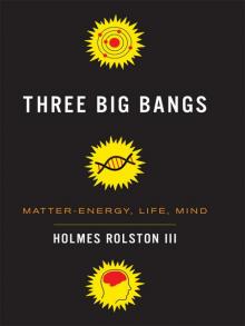 Three Big Bangs