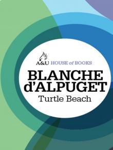 Turtle Beach Read online