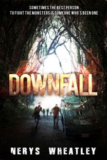 Twenty-Five Percent (Book 2): Downfall