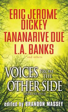 Voices From The Other Side Read online