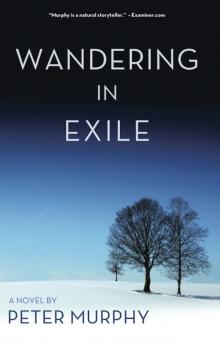 Wandering in Exile Read online