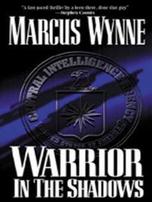 Warrior in the Shadows Read online
