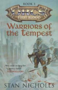 Warriors of the Tempest Read online