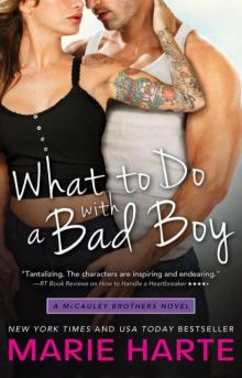 What to Do With a Bad Boy Read online