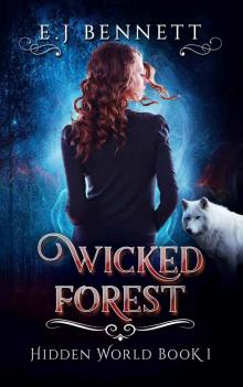 Wicked Forest (Hidden World Book 1) Read online