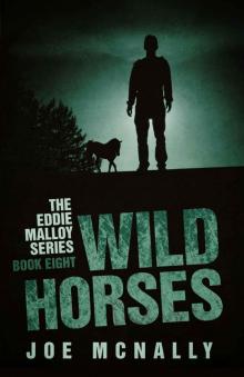 Wild Horses (The Eddie Malloy Series Book 8)