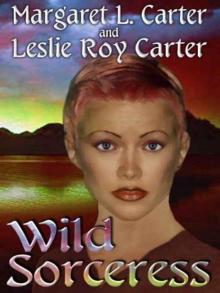 Wild Sorceress Read online