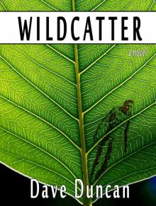 Wildcatter Read online