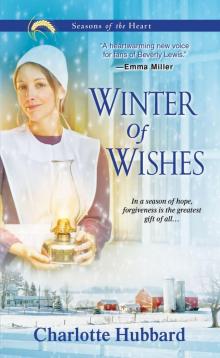 Winter of Wishes Read online