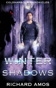 Winter Shadows Read online