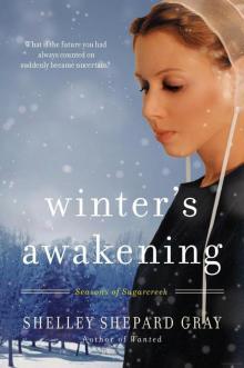 Winter's Awakening (Seasons of Sugarcreek 1)