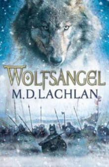Wolfsangel c-1 Read online