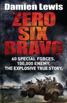 Zero Six Bravo Read online