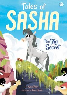 #1: The Big Secret (Tales of Sasha) Read online