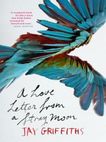 A Love Letter from a Stray Moon Read online