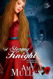 A Stormy Knight Read online