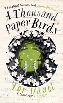 A Thousand Paper Birds Read online