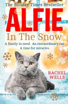 Alfie in the Snow Read online