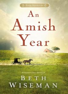 An Amish Year Read online