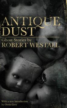 Antique Dust Read online