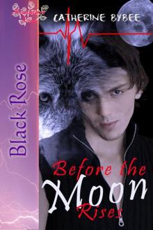 Before the Moon Rises Read online