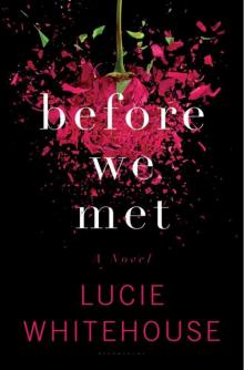Before We Met: A Novel Read online