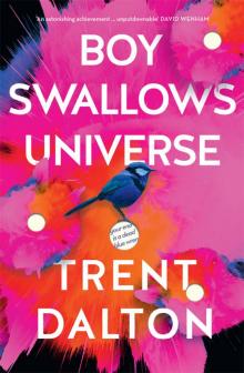 Boy Swallows Universe Read online