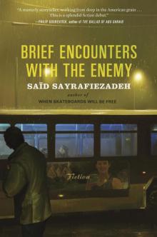Brief Encounters with the Enemy Read online