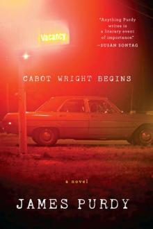 Cabot Wright Begins: A Novel Read online