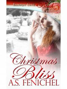 Christmas Bliss Read online