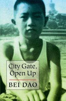 City Gate, Open Up Read online