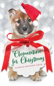 Clementine for Christmas Read online