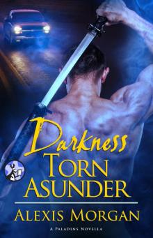 Darkness Torn Asunder Read online
