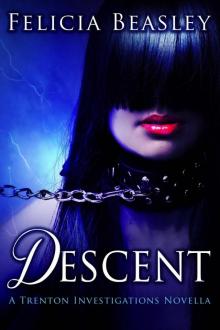 Descent: A Trenton Investigations Novella