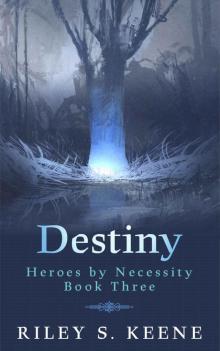 Destiny (Heroes by Necessity Book 3) Read online