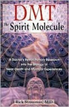 DMT_The Spirit Molecule Read online