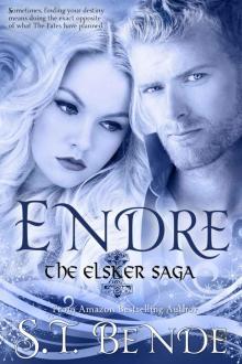 Endre (Elsker Saga Book 2) Read online