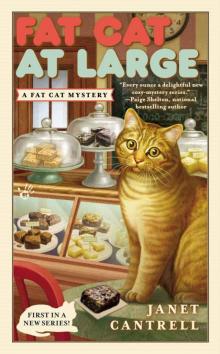 Fat Cat At Large (A Fat Cat Mystery) Read online