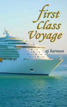 First Class Voyage (First Class Novels – A Contemporary Romance Series) Read online