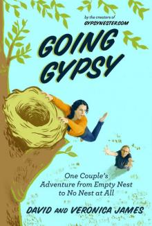 Going Gypsy Read online