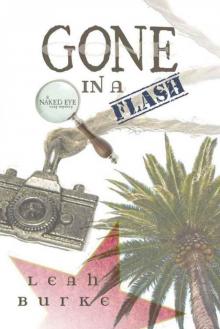 Gone in a Flash: A Naked Eye Cozy Mystery