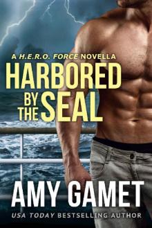 Harbored by the SEAL (HERO Force Book 3) Read online