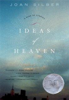 Ideas of Heaven Read online