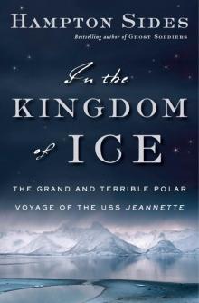 In the Kingdom of Ice Read online
